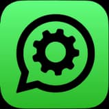 WhatsApp Business API